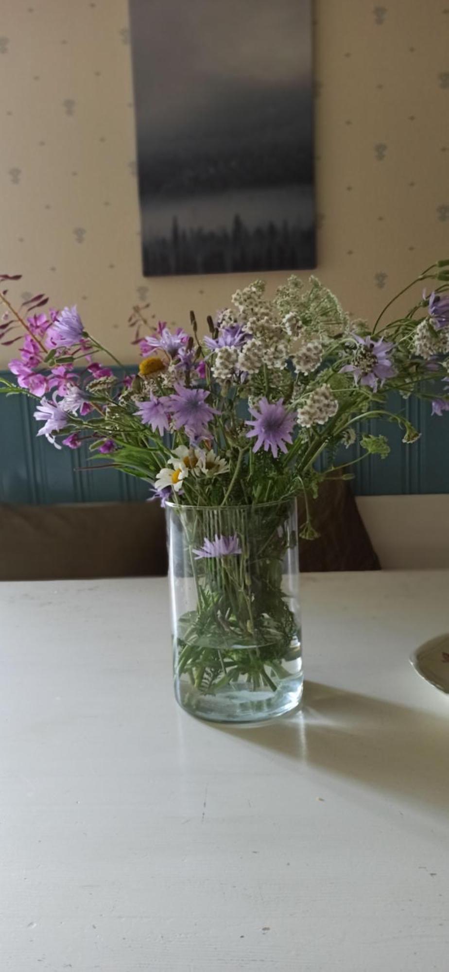 Sunnemoslantliv B&B 외부 사진